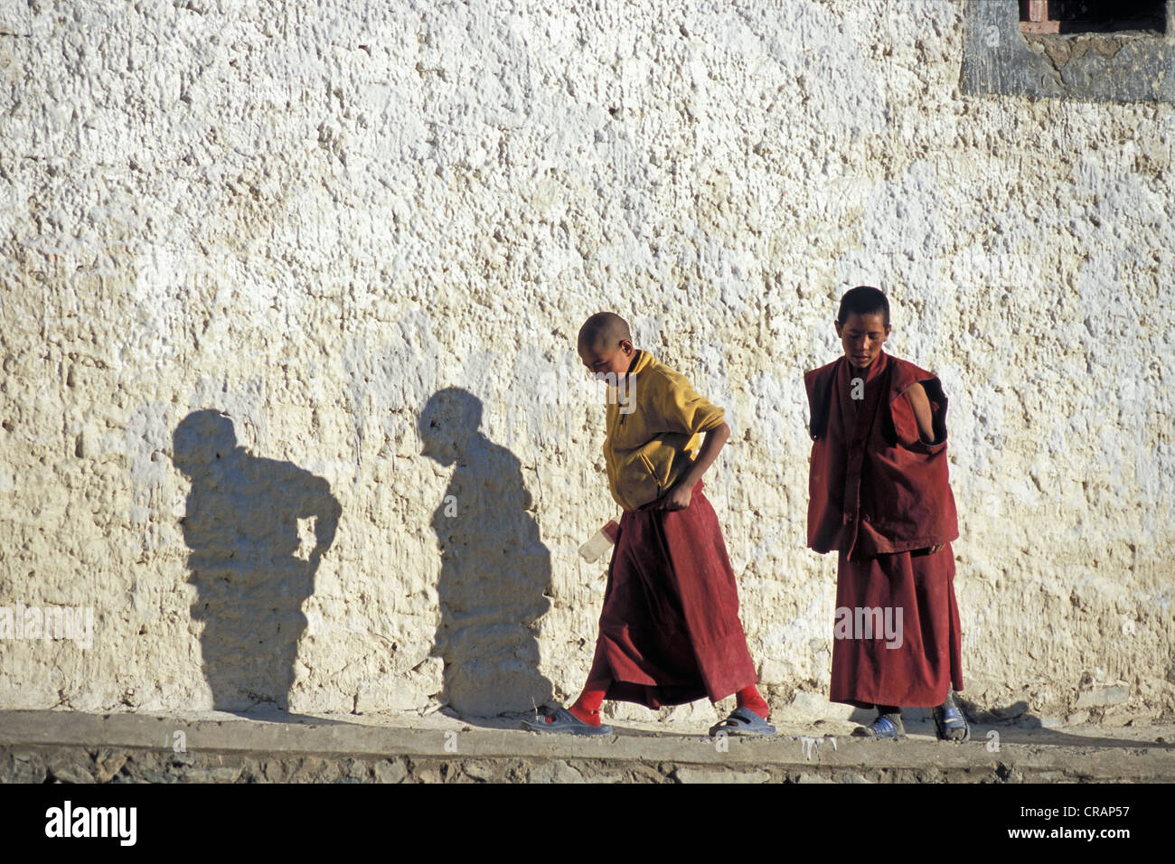 Novicios budistas, seguidores de la escuela Gelugpa, Tongde monasterio, Bajo Zanskar valle, Bajo Zanskar, Ladakh, Jammu y Cachemira Foto de stock