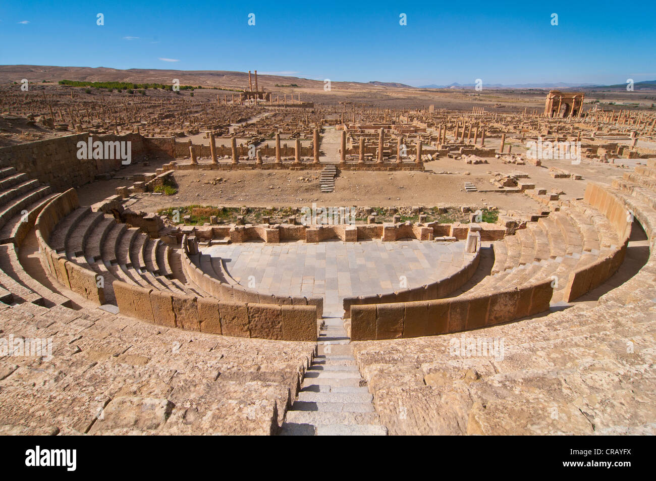El anfiteatro, las ruinas romanas de Timgad, Sitio del Patrimonio Mundial de la Unesco, Argelia, África Foto de stock