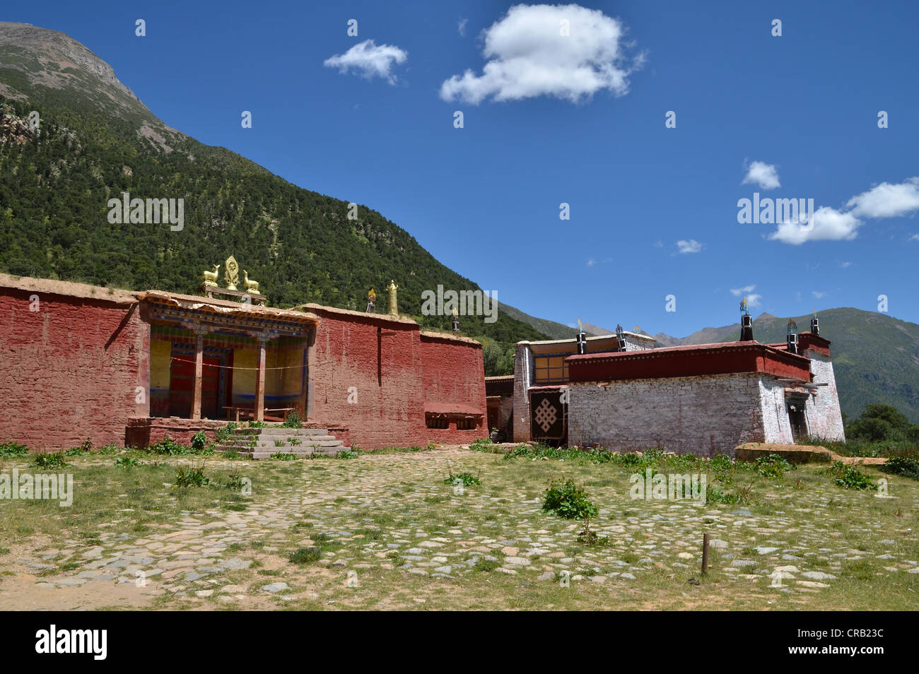 El budismo tibetano, la principal congregación hall del monasterio Reting, Monte Gangi Rarwa, Himalaya, el condado de Lhundrup, Tibet central Foto de stock