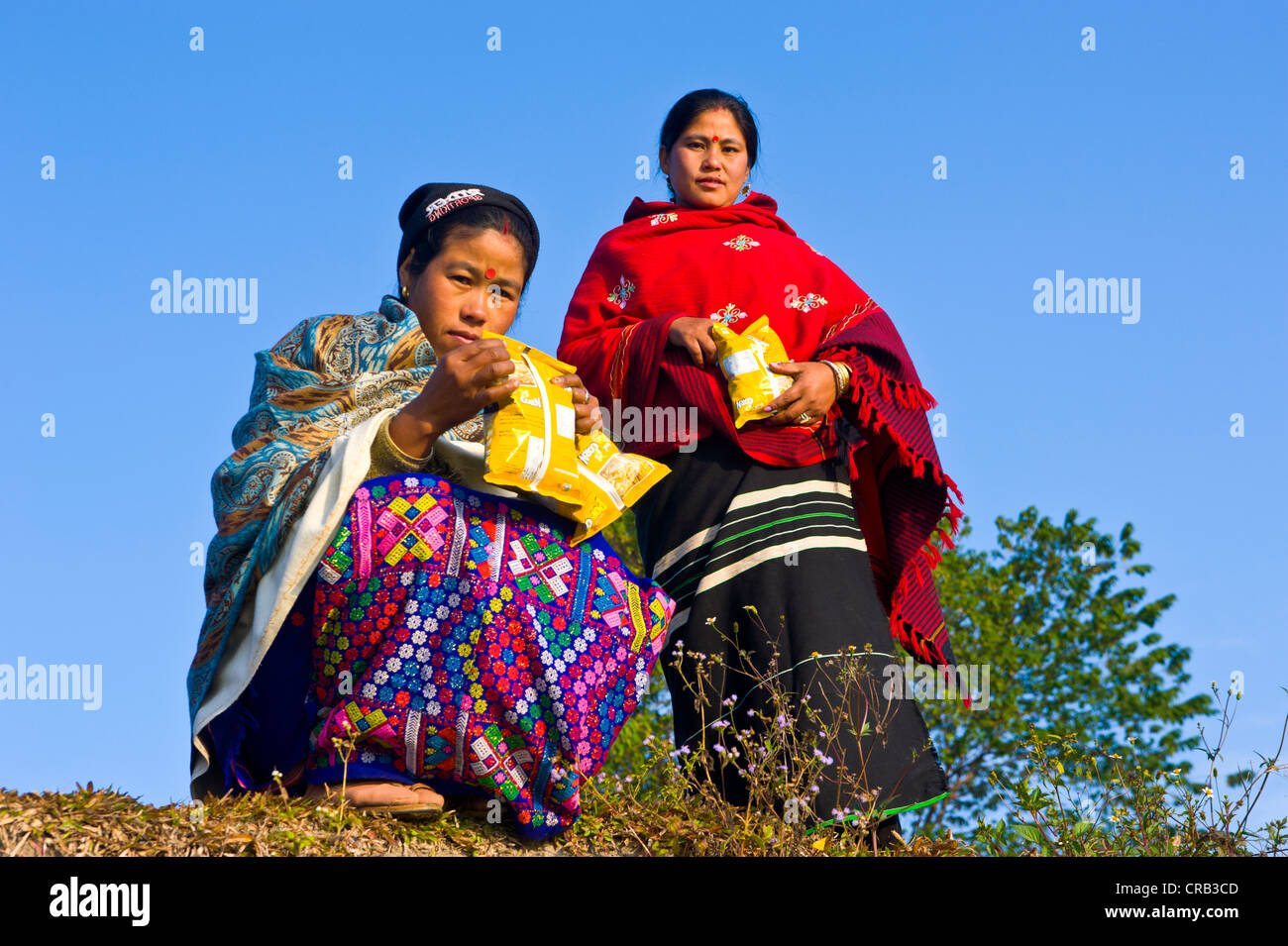 Mujeres de la India nororiental en el banco del río del río Brahmaputra, Assam, en el noreste de la India, India, Asia Foto de stock