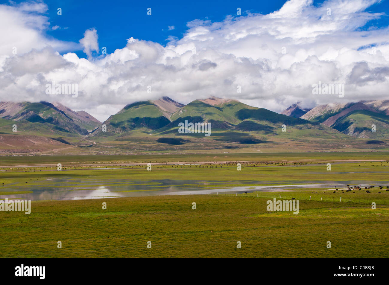 Gran paisaje abierto del Tíbet a lo largo de la línea ferroviaria de Lhasa a Chengdu, Tíbet, Asia Foto de stock