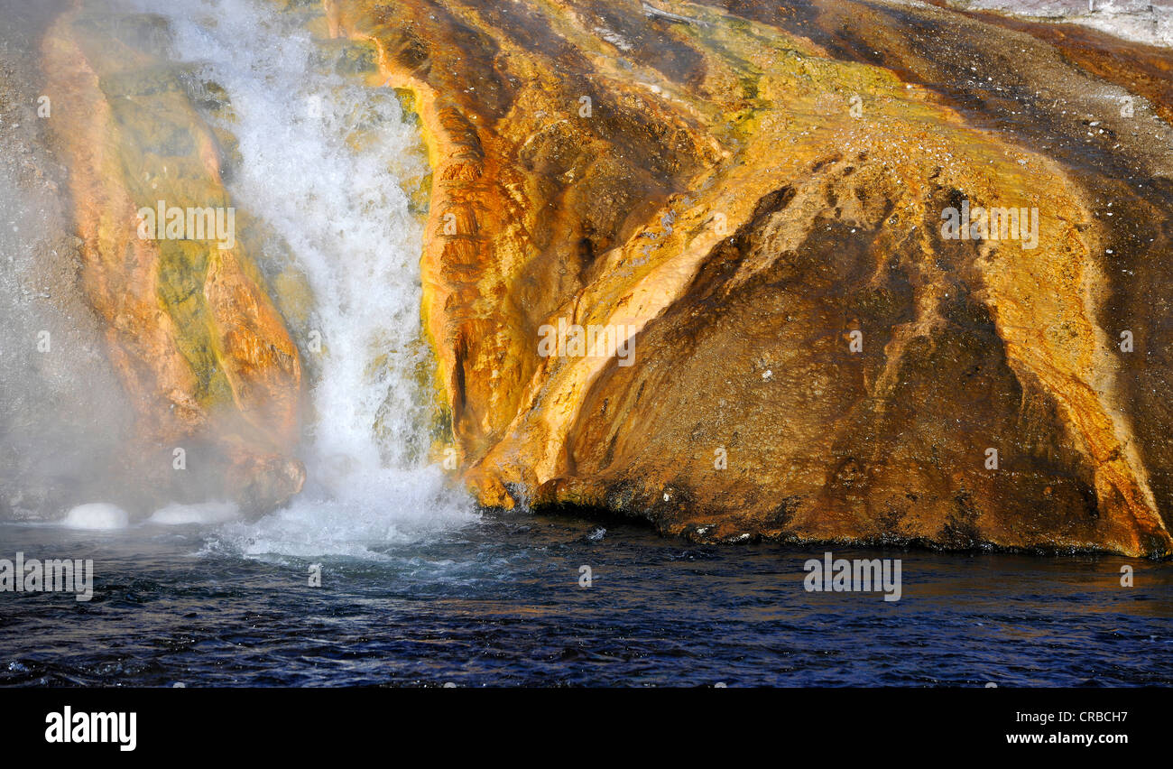 Salida del Excelsior Geyser en Río Firehole, Midway Geyser Basin, coloridos bacterias termófilas, microorganismos, géiseres Foto de stock