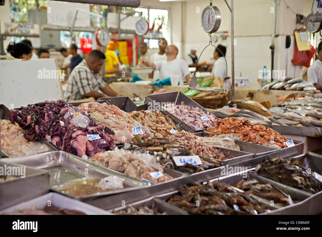 Mercado de pescado de panamá fotografías e imágenes de alta resolución -  Alamy