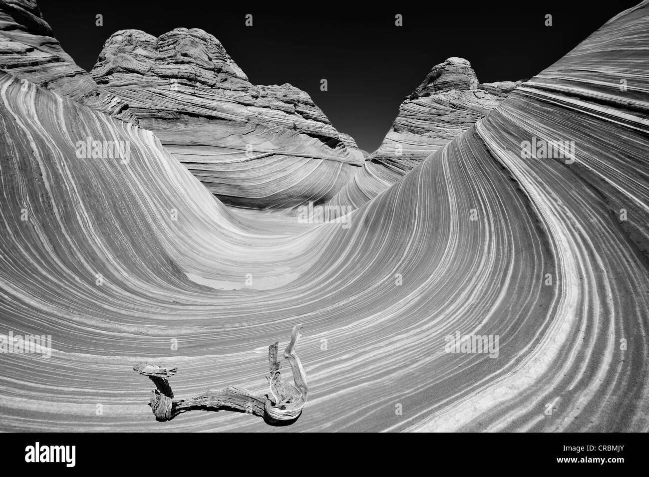 Rama Seca acostado en la ola, ola de bandas erosionadas rocas arenisca  Navajo y bandas Liesegang, Norte de Coyote Buttes, Paria Fotografía de  stock - Alamy