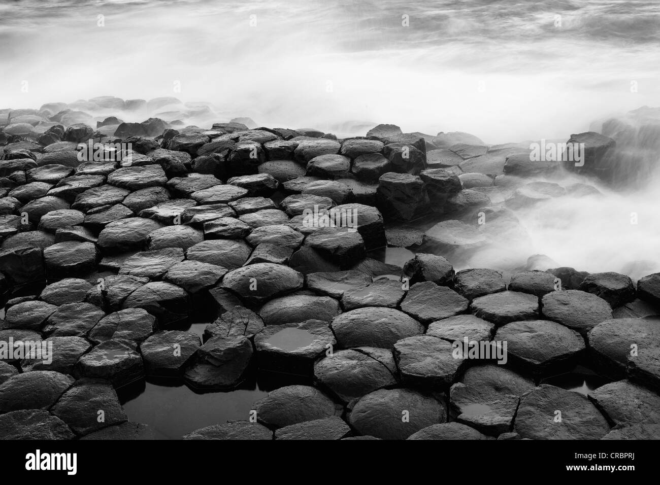 Columnas de basalto, Giant's Causeway, Costa Causeway, Condado de Antrim, Irlanda del Norte, Gran Bretaña, Europa Foto de stock