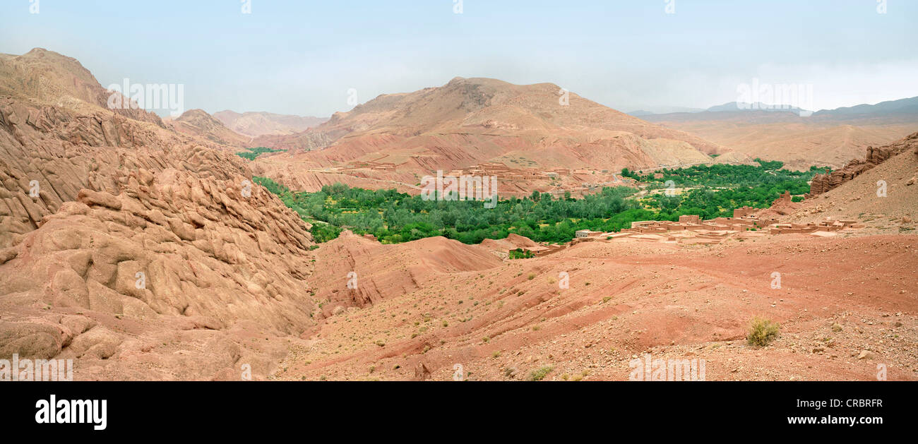 Vista aérea del verde oasis en el desierto Foto de stock