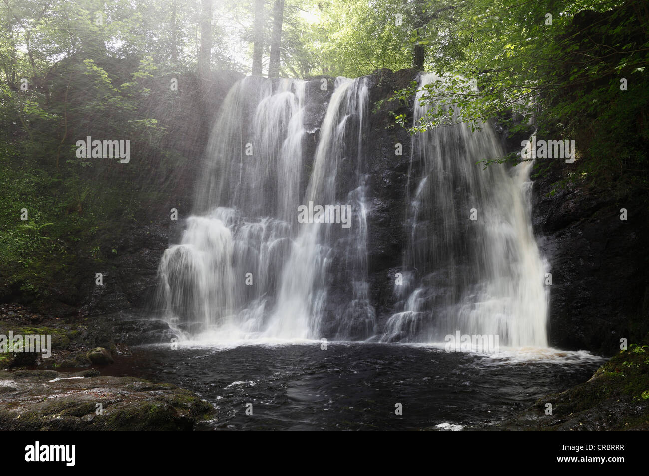 Cascada en el río, Inver Glenariff Forest Park, Glenariff, cañadas de Antrim, Condado de Antrim, Reino Unido, Europa Foto de stock