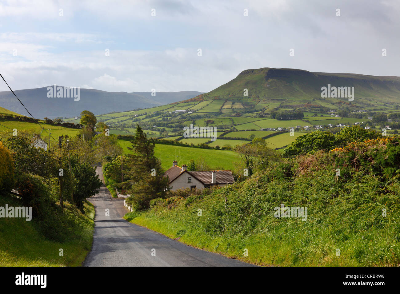 Valle cercano Glenballyemon Cushendall, cañadas de Antrim, Condado de Antrim, Irlanda del Norte, Reino Unido, Europa Foto de stock