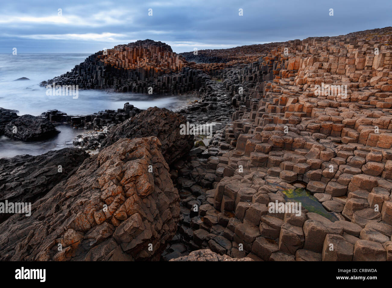 Giant's Causeway, Costa Causeway, Condado de Antrim, Irlanda del Norte, Reino Unido, Europa Foto de stock