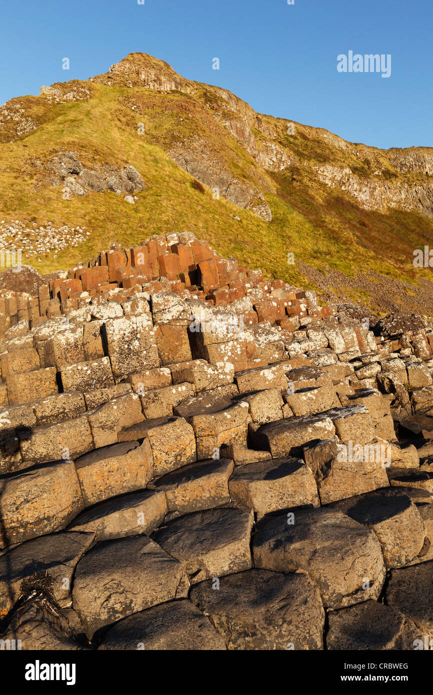 Giant's Causeway, Costa Causeway, Condado de Antrim, Irlanda del Norte, Reino Unido, Europa Foto de stock