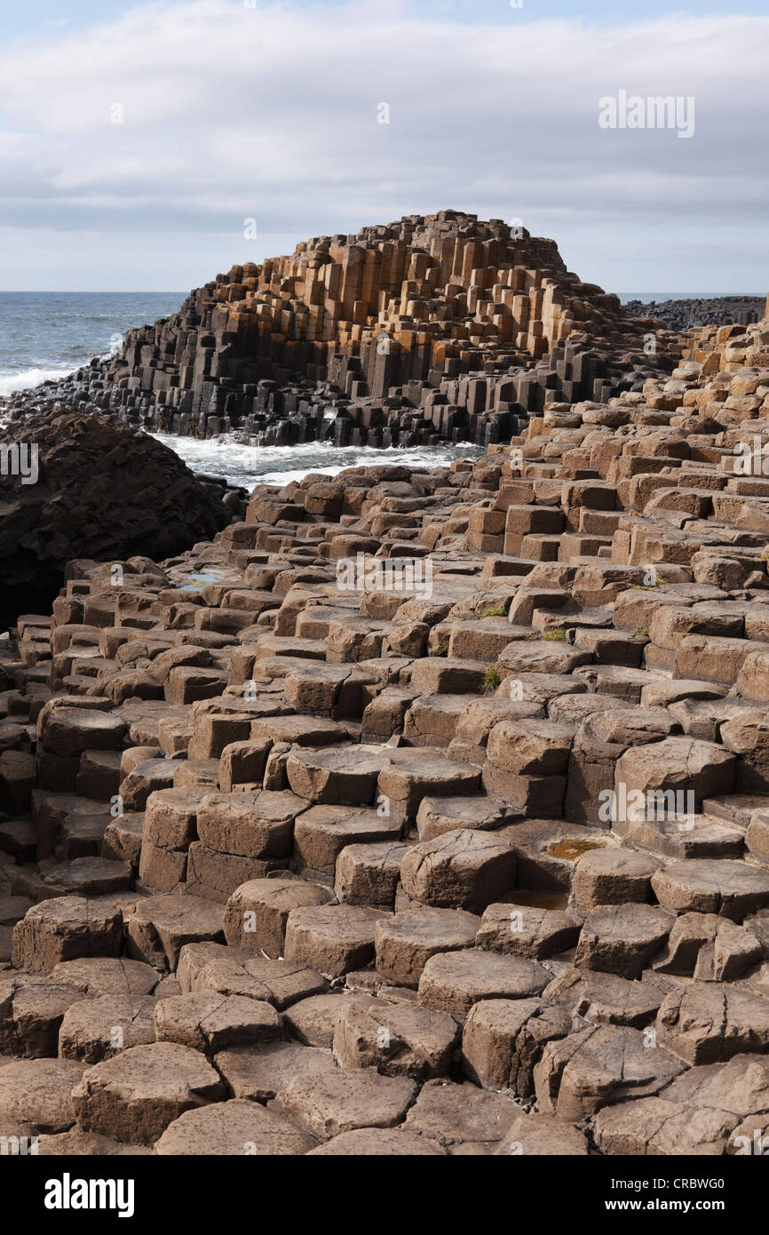 Columnas basálticas, Giant's Causeway, Costa Causeway, Condado de Antrim, Irlanda del Norte, Reino Unido, Europa Foto de stock