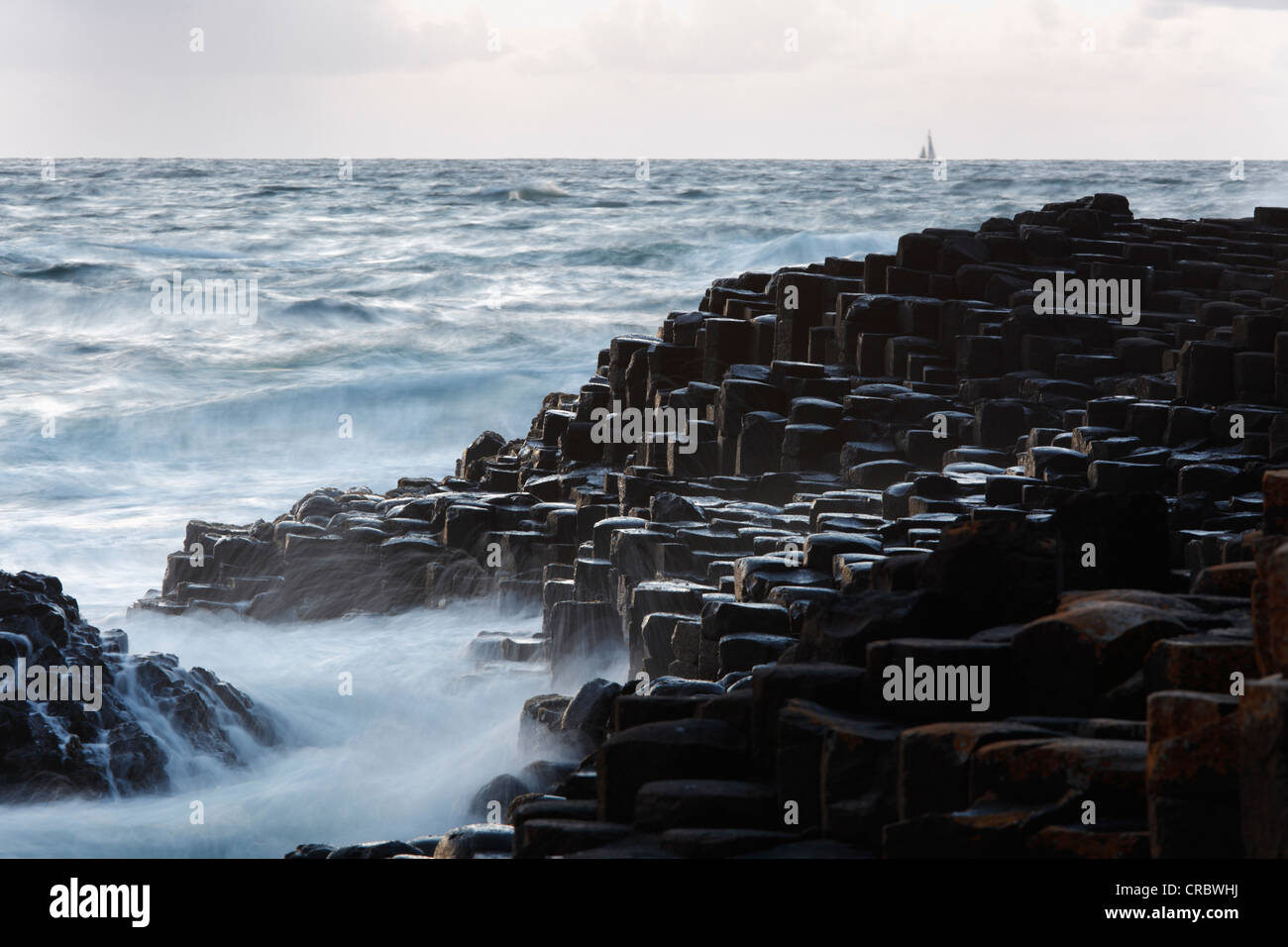 Giant's Causeway, Costa Causeway, Condado de Antrim, Irlanda del Norte, Reino Unido, Europa Foto de stock