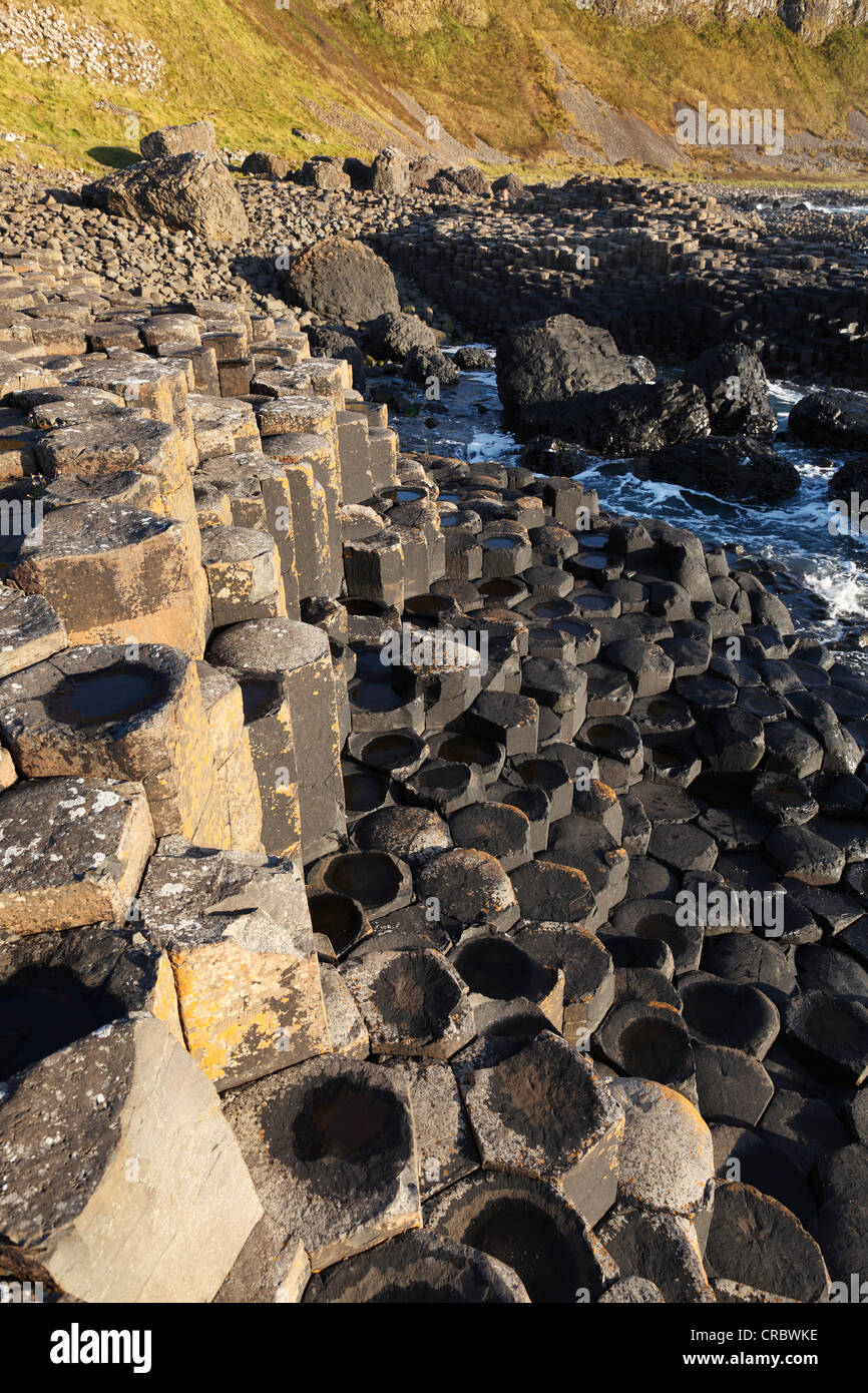 Columnas basálticas, Giant's Causeway, Costa Causeway, Condado de Antrim, Irlanda del Norte, Reino Unido, Europa Foto de stock