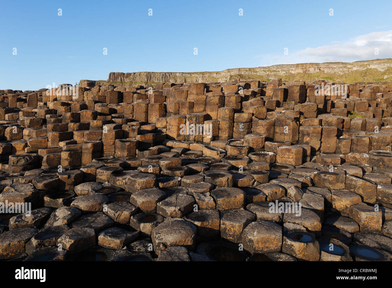 Columnas basálticas, Giant's Causeway, Costa Causeway, Condado de Antrim, Irlanda del Norte, Reino Unido, Europa Foto de stock