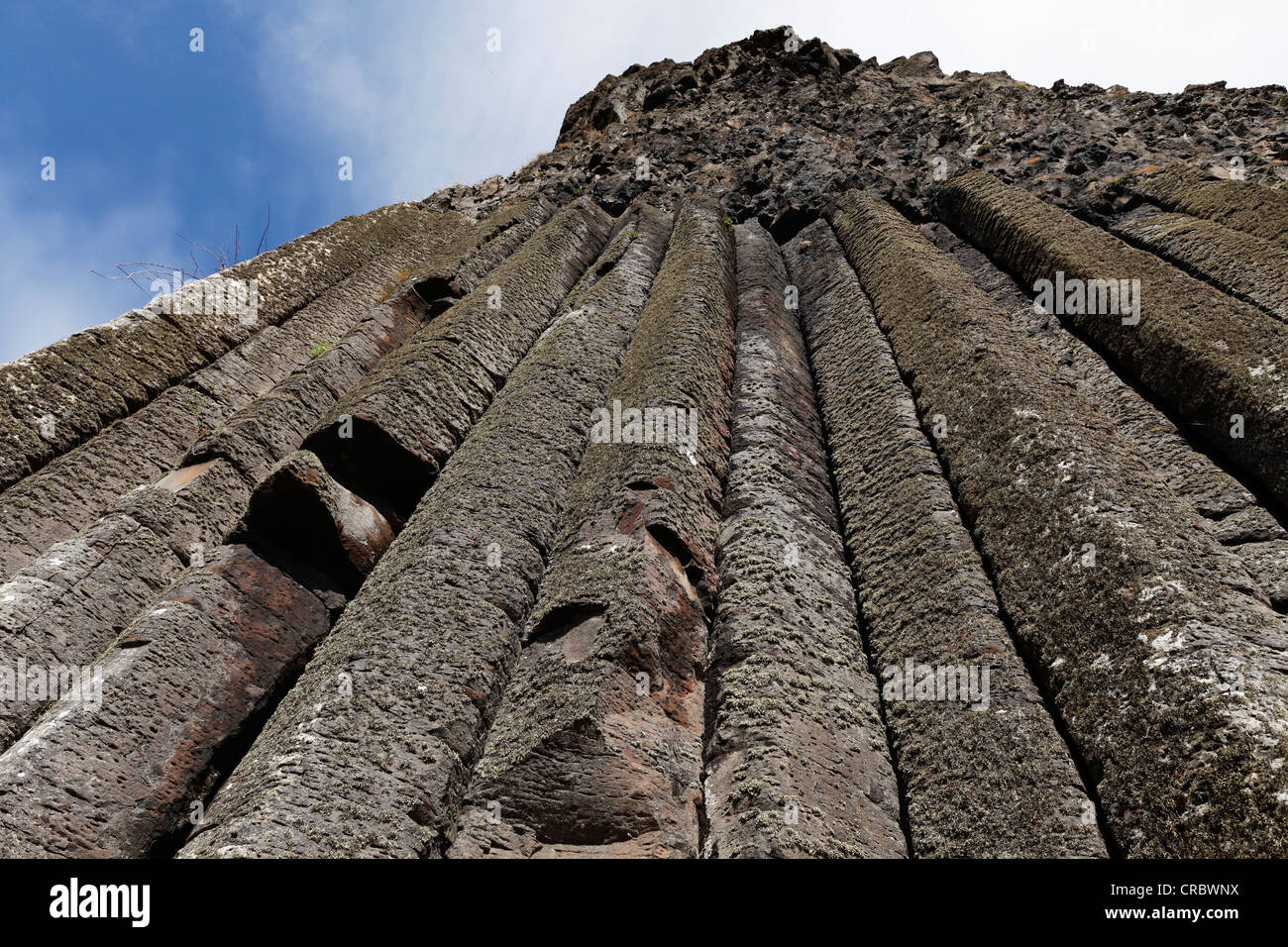 El Órgano, el órgano de tubos, columnas basálticas, Giant's Causeway, Costa Causeway, Condado de Antrim, Irlanda del Norte, Reino Unido Foto de stock