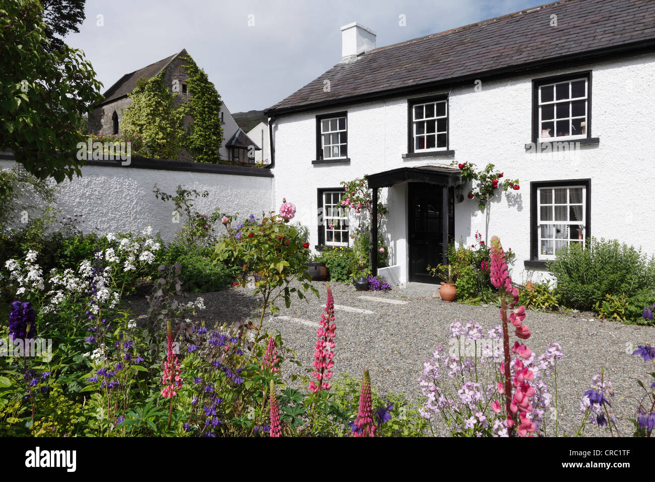 Casa con jardín, lleno de flores, Carlingford, la Península de Cooley, el condado de Louth, Irlanda, Europa Foto de stock