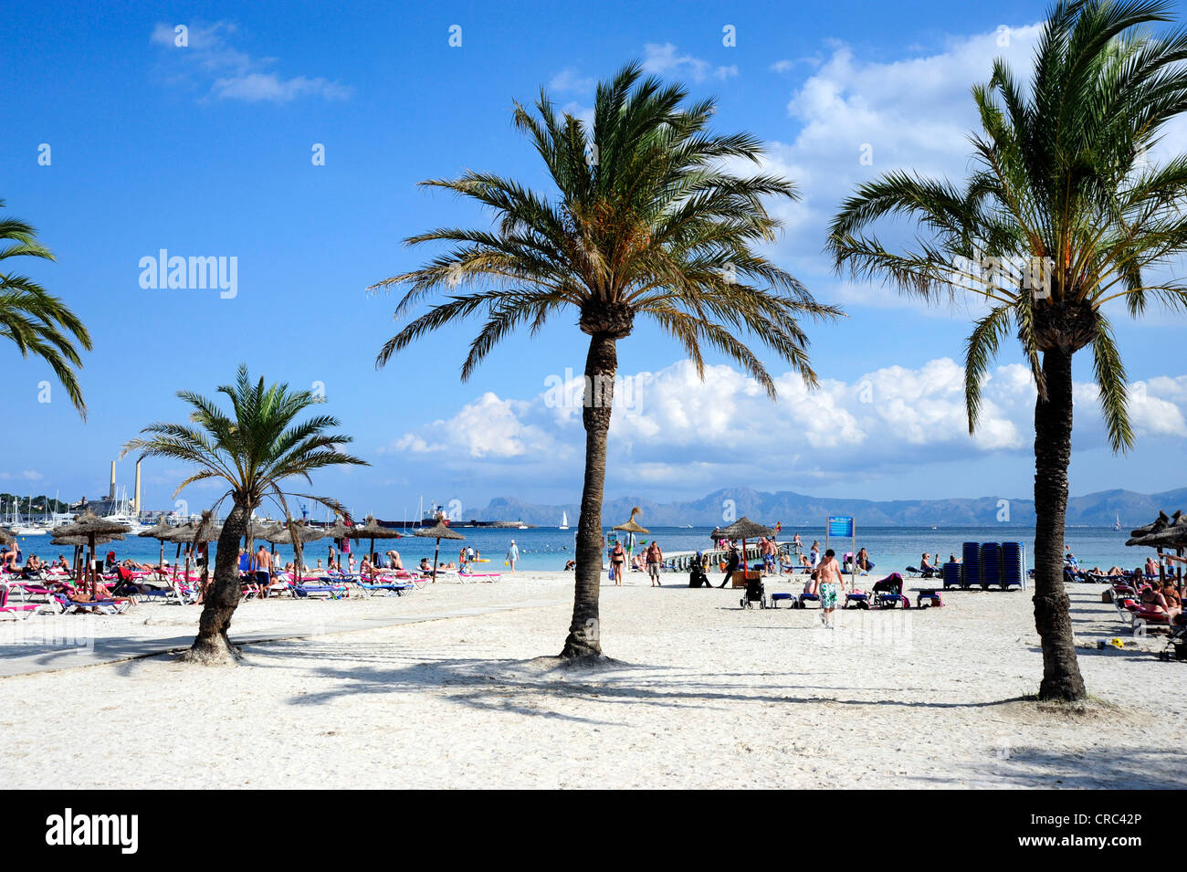 Playa y palmeras en la ciudad balnearia de Puerto de Alcudia, Port d'Alcudia,  Mallorca, Islas Baleares, el Mar Mediterráneo Fotografía de stock - Alamy