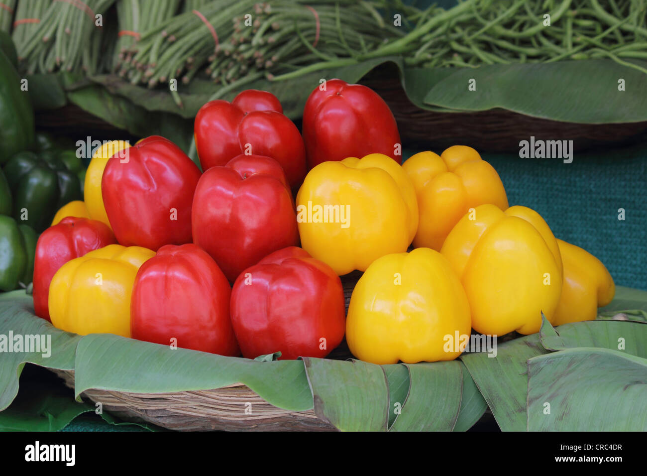 Pimiento rojo y amarillo para la venta en el mercado en Pune, India Foto de stock