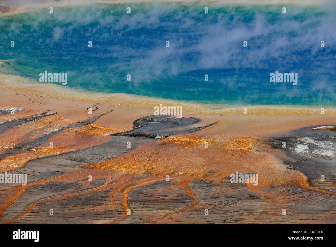 Grand Prismatic Spring, géiser, Midway Geyser Basin, coloridos bacterias termófilas, hot springs, Parque Nacional de Yellowstone. Foto de stock