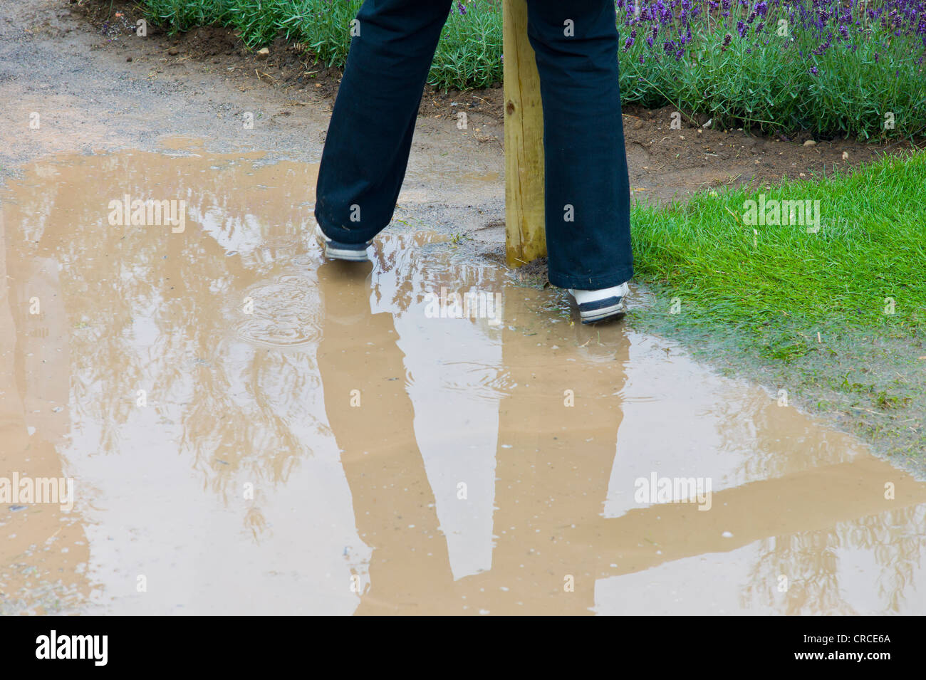 Evitando los charcos en RHS Hampton Court Flower Show 2011 Foto de stock