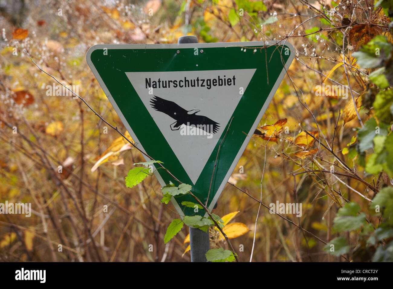 Cartel "Naturschutzgebiet', Alemán para la reserva natural, Bendorf, Renania-Palatinado, Alemania, Europa Foto de stock