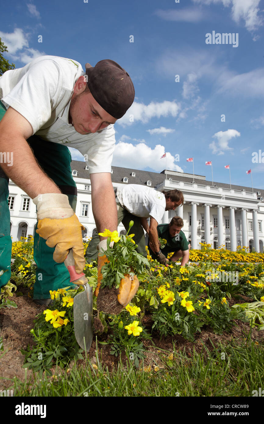 Jardineros de plantar flores en el Palacio Electoral en Koblenz, Bundesgartenschau, Federal Garden Festival, Buga 2011 Foto de stock