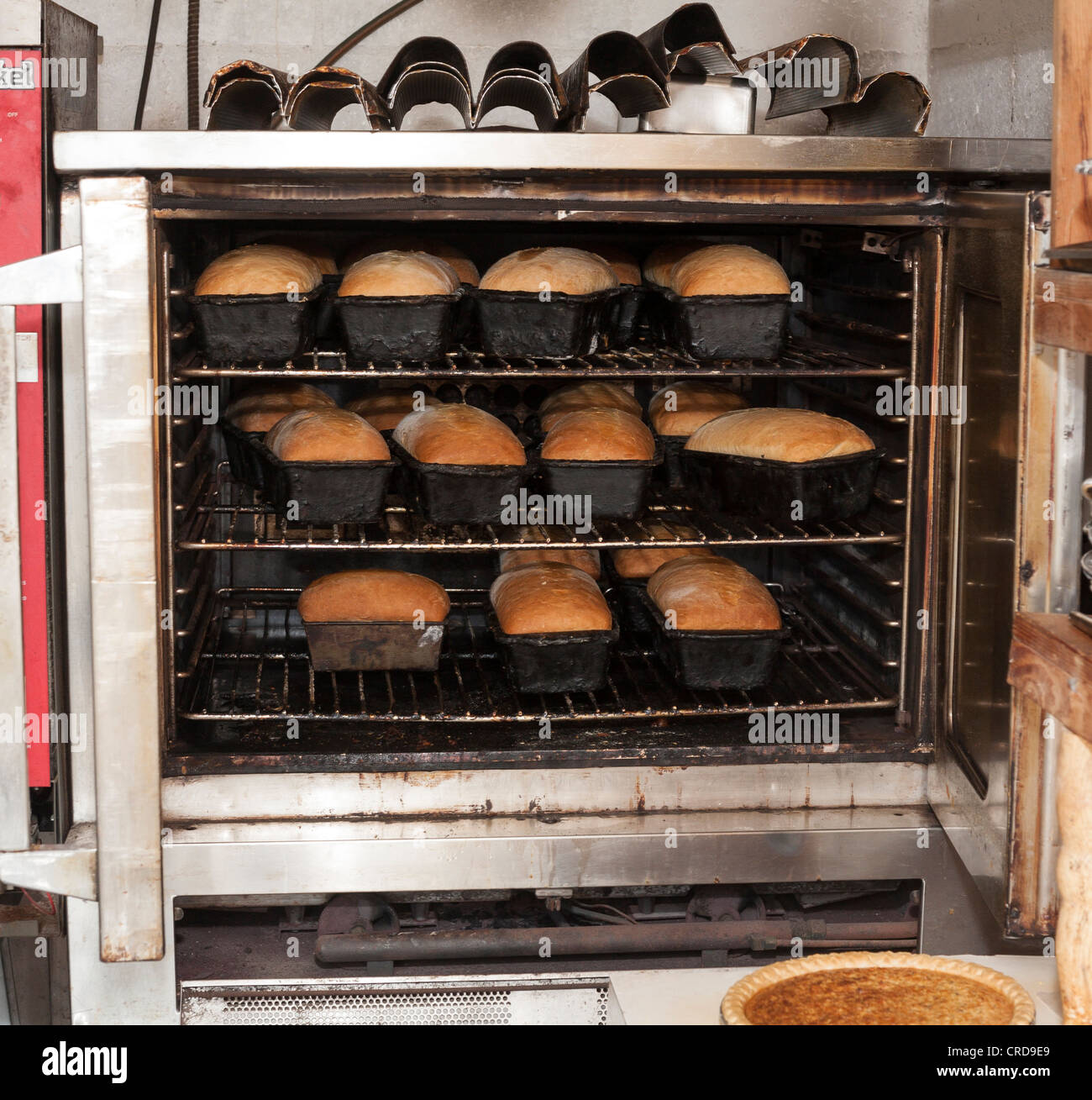 Hornear pan fresco. Muchos amores de pan horneado fresco descansar unos  instantes mientras aún está en el horno de convección comercial Fotografía  de stock - Alamy