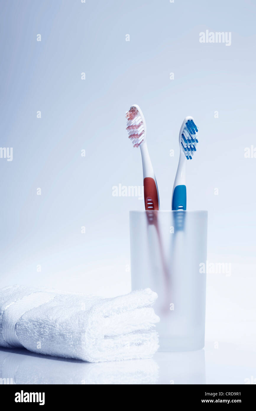Los cepillos de dientes en el cepillo de dientes secadora al lado toalla blanca Foto de stock