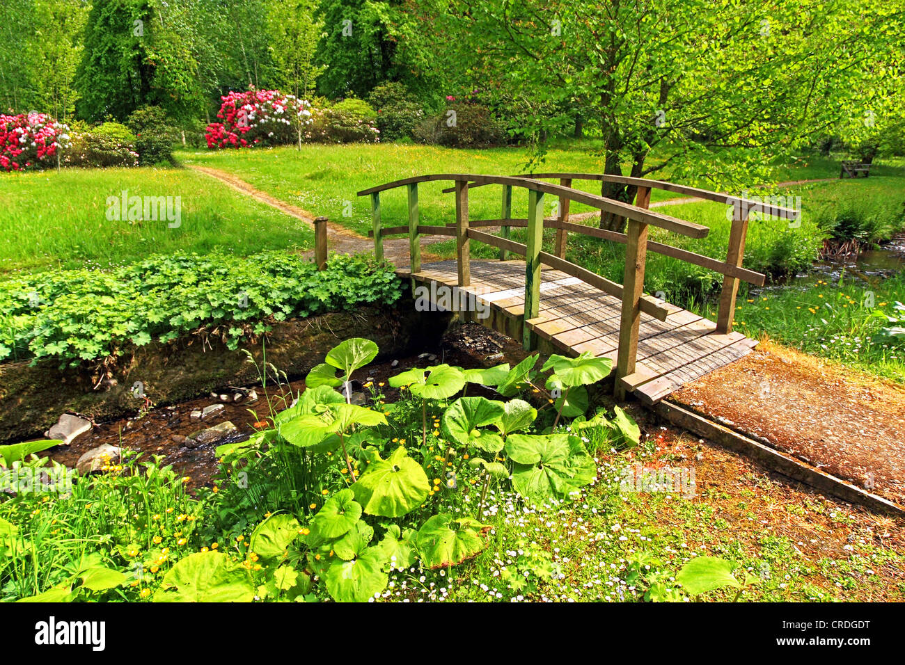 Viejo Puente de madera en un hermoso jardín, primavera Foto de stock