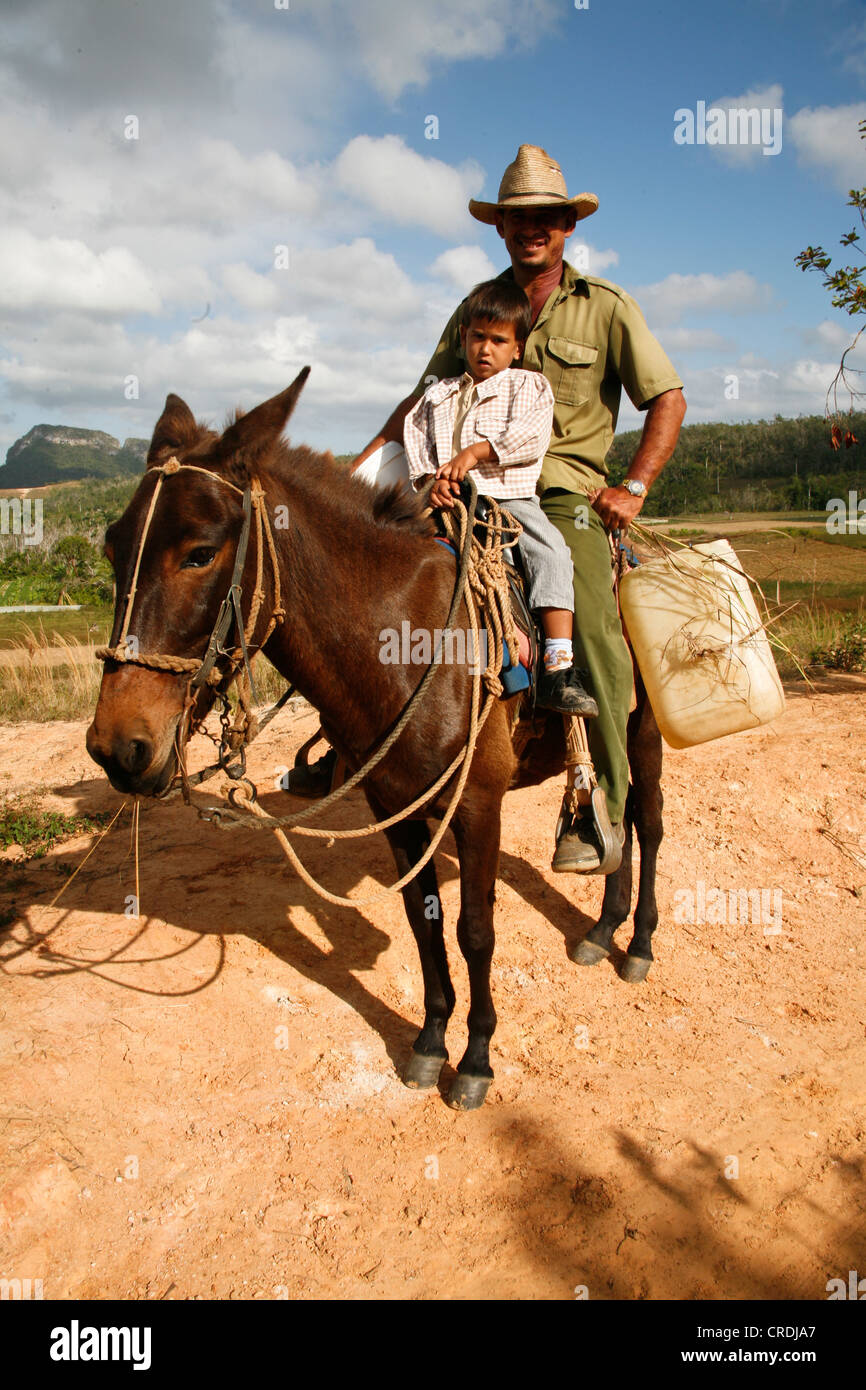 A caballo con productores de tabaco en Viñales, Cuba, Antillas Mayores, el Caribe Foto de stock