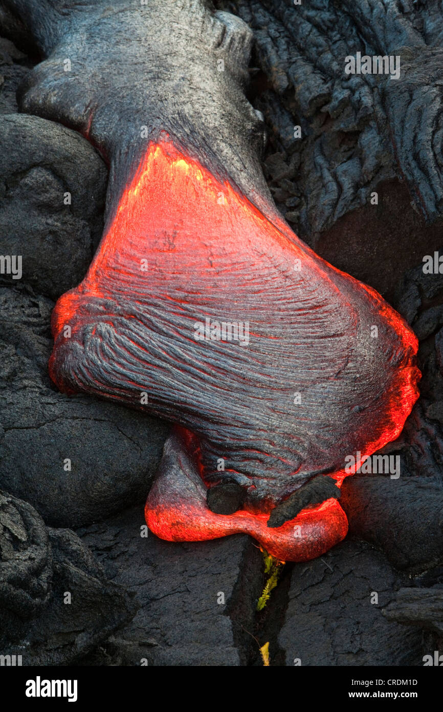 Fundido tipo pahoehoe río de lava por una grieta en la zona del Rift oriental hacia el mar, el campo de lava del volcán Kilauea volcán escudo Foto de stock