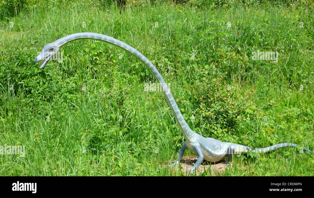 Dinosaurio cuellos largo fotografías e imágenes de alta resolución - Alamy Dinosaurio cuellos largo fotografías e imágenes de alta resolución - Alamy