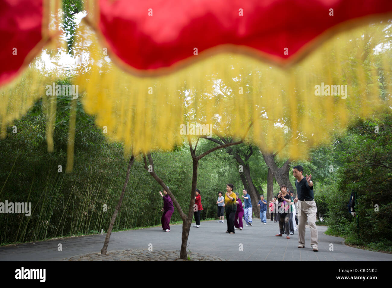 Muy temprano en la mañana en el Parque Zizhuyuan, en Beijing, China Foto de stock