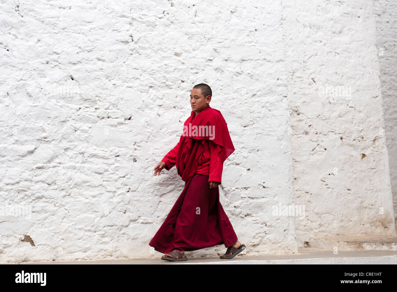 El budismo tibetano, monje en una túnica roja caminando delante de una pared blanca, Tango Goemba monasterio, cerca de Thimphu, la Himalaya Foto de stock