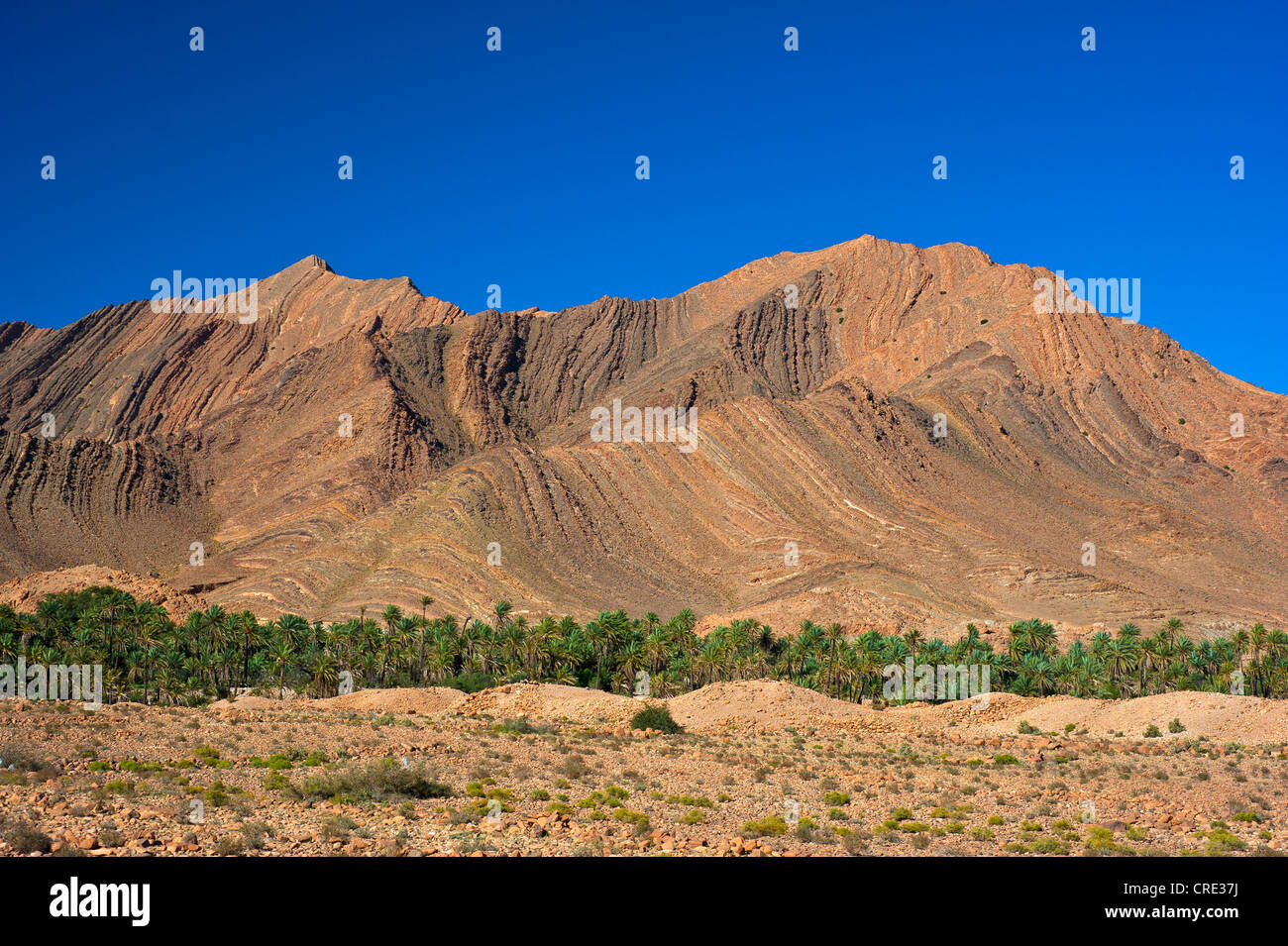 Imponente paisaje de montaña con laderas erosionadas en el valle de Ait Mansour, palmeras datileras crecen en el lecho seco del río Foto de stock