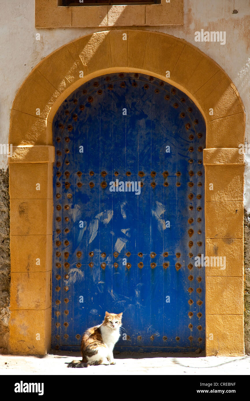 Típico de la vieja puerta de madera de un edificio residencial en el centro histórico de la ciudad o Medina, Patrimonio de la Humanidad de la UNESCO, , Marruecos, África Foto de stock