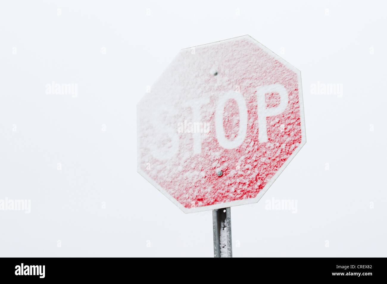 Una señal de stop cubiertos de nieve contra un sombrío, monótonos cielo de invierno. Foto de stock