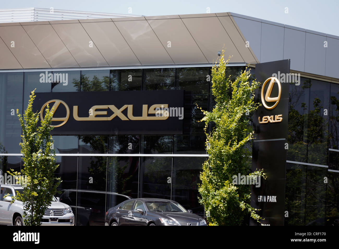 Concesionario de coches Lexus Foto de stock