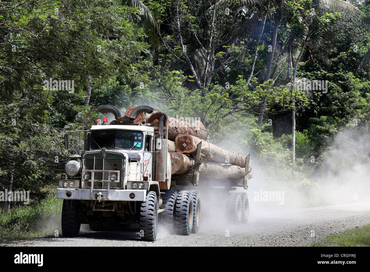 Camión de registro en las selvas de la provincia de Madang, Papua Neuguinea Foto de stock