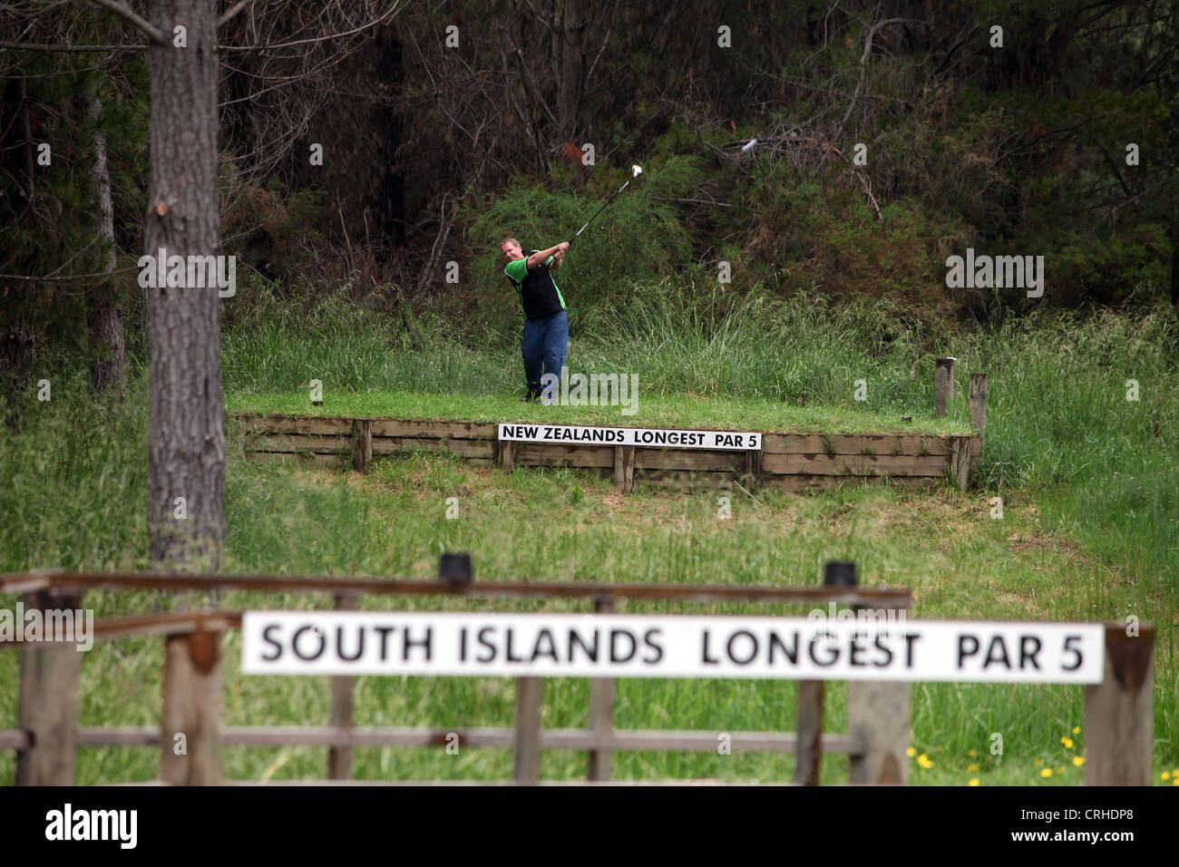 El golfista que aterriza en el agujero más largo de Nueva Zelanda, el sexto sexto Foto de stock