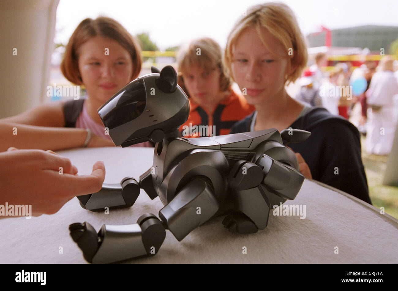 perro robot de juguete Fotografía de stock - Alamy