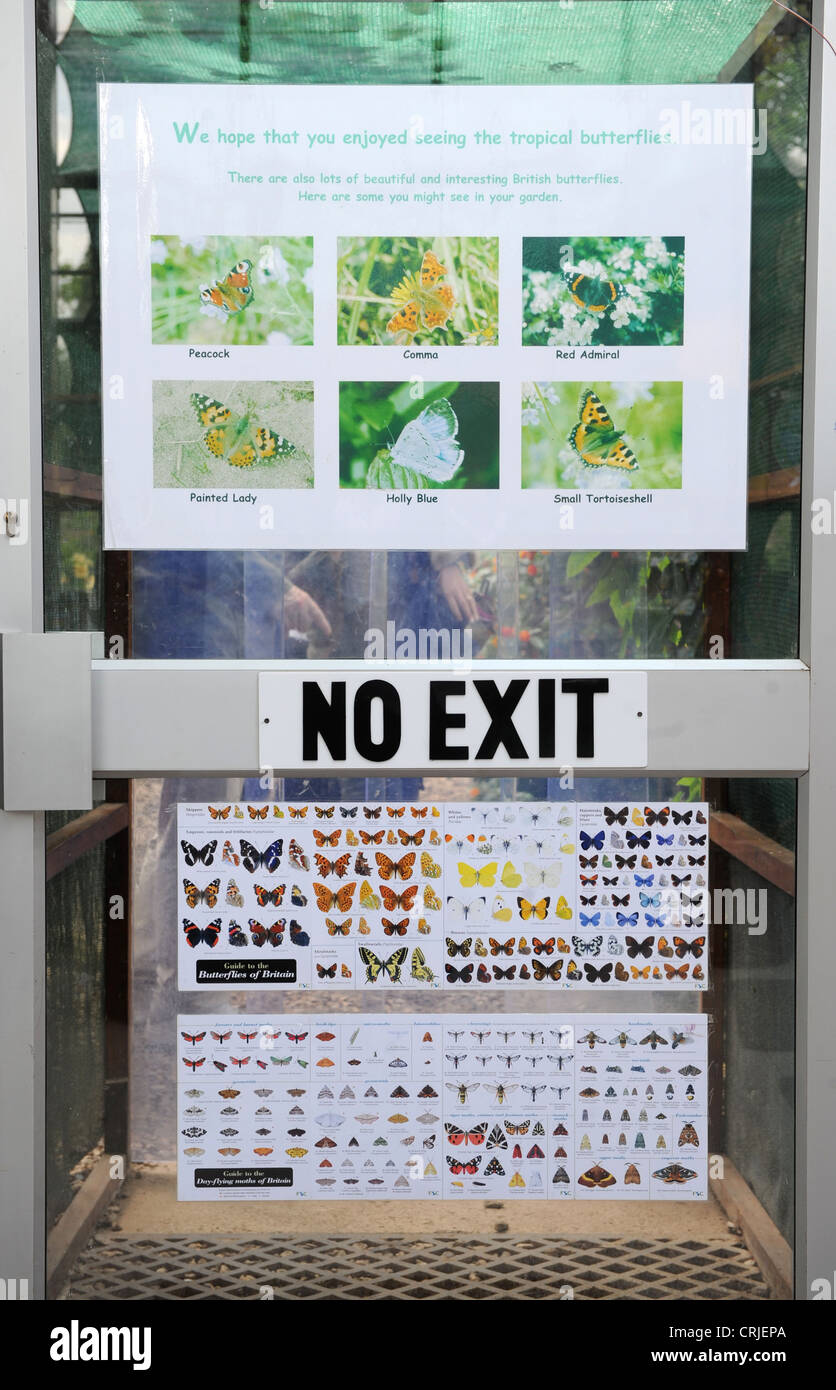 Gráficos de identificación de mariposas en la entrada de la casa de las mariposas Foto de stock