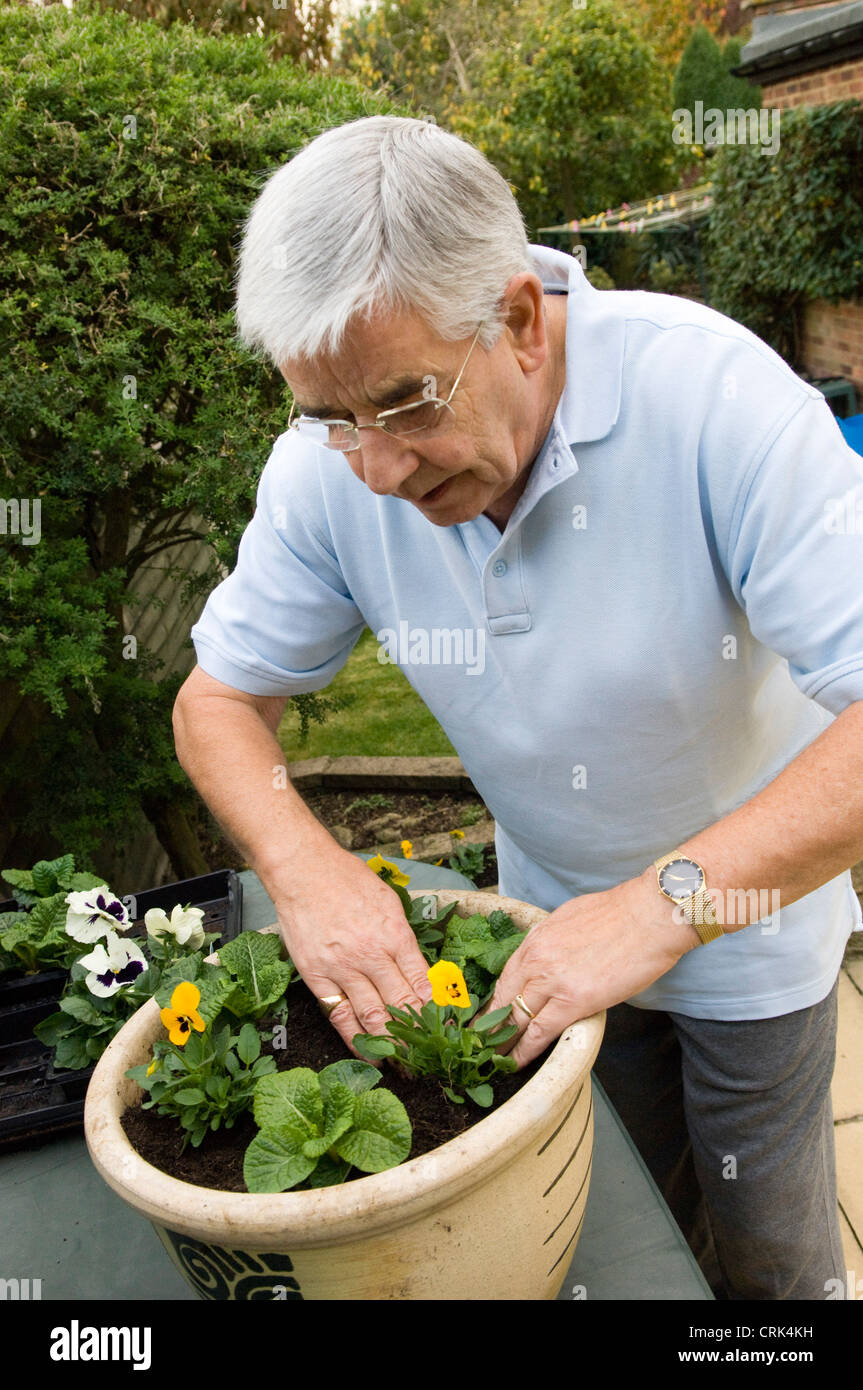 Anciano plantar unas flores Foto de stock
