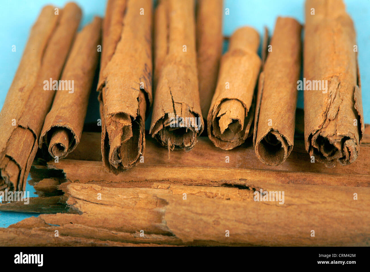 Cinnamon Sticks como hierbas medicinales han sido tradicionalmente usada para tratar el dolor de muelas y luchar contra el mal aliento, para conjurar el resfriado común, y ayuda con la digestión. Foto de stock