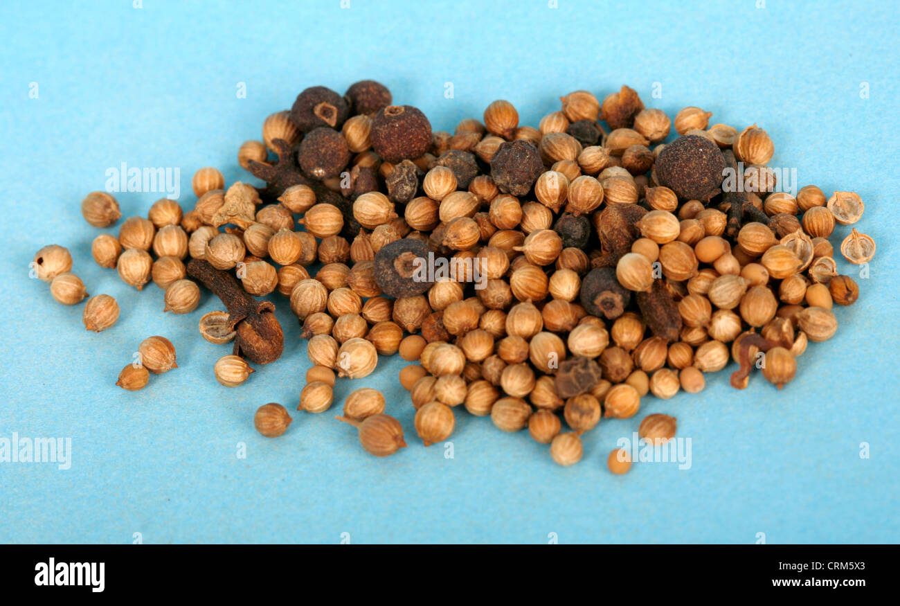Decapado semillas producen un aceite cuando triturado que pueden ayudar a una variedad de enfermedades, incluyendo la digestión y la flatulencia Foto de stock