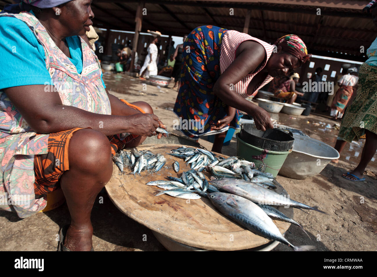 Mujeres que venden pescado en el mercado en Elmina, Ghana Foto de stock