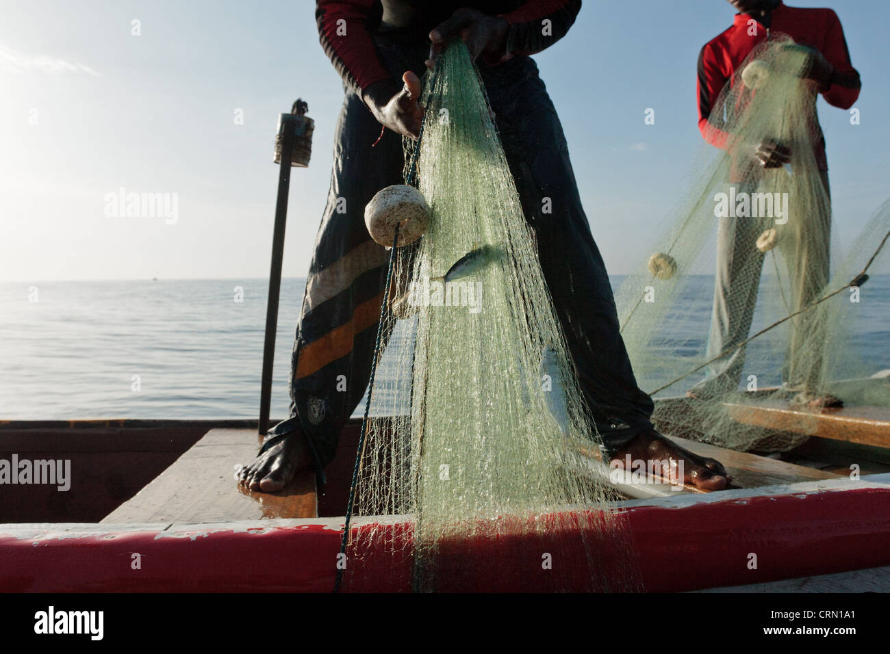 Tirar de los pescadores en sus redes mientras pescan en la costa cerca de Cape Coast, Ghana, Región Central. Foto de stock