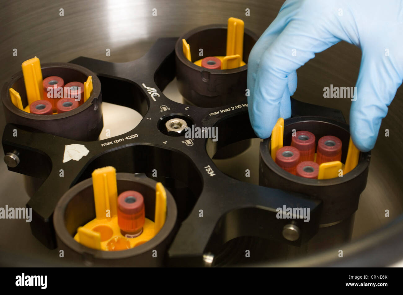 Las muestras se colocan en una máquina centrífuga ALC PK120 listo para ser procesado. Foto de stock