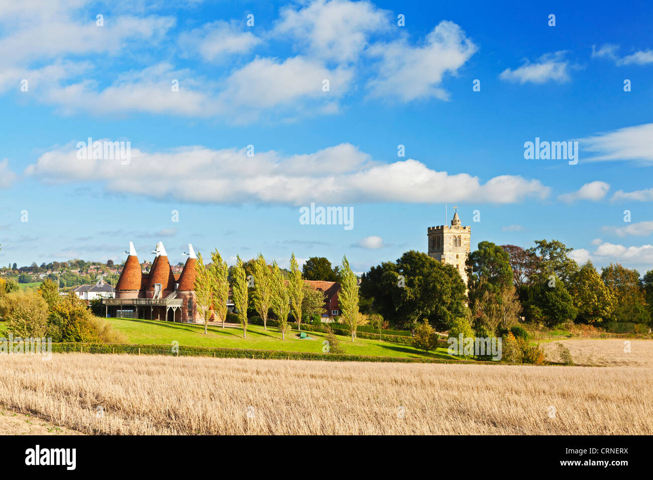 Vista a través de un campo de heno hacia la iglesia de la aldea y casas en Horsmonden oast. Foto de stock