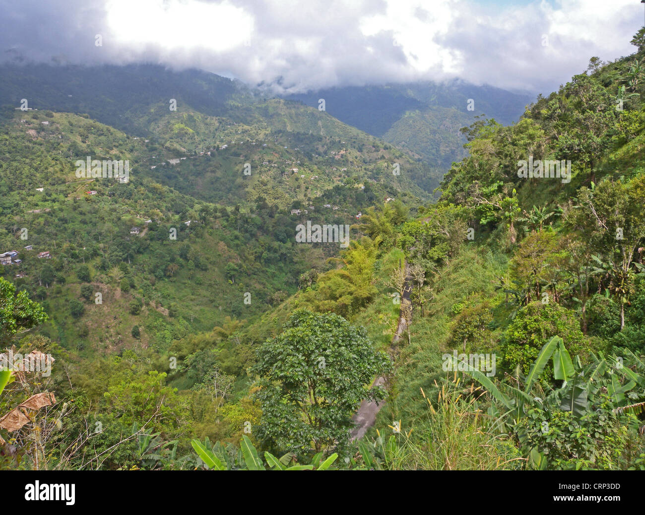 Ver abajo sobre cultivar laderas de montaña, Blue Mountains, Jamaica, marzo  Fotografía de stock - Alamy